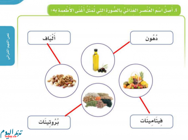 اصل اسم العنصر الغذائي بالصوره التي تمثل اغنى الاطعمه به