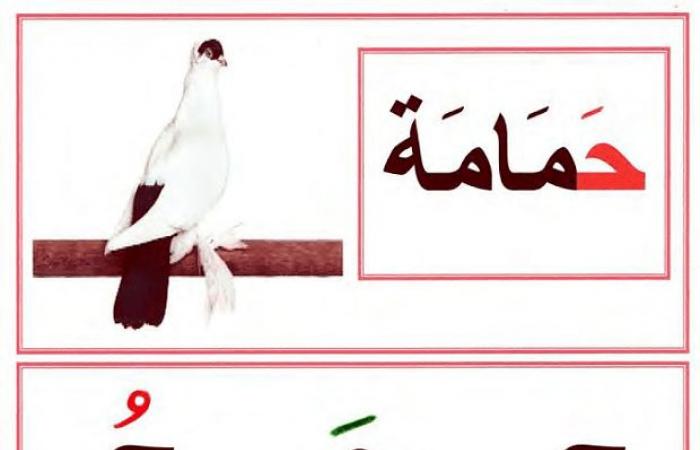 معلقات تزيين القسم صور الحروف الابجدية العربية للسنة اولى ابتدائي PDF