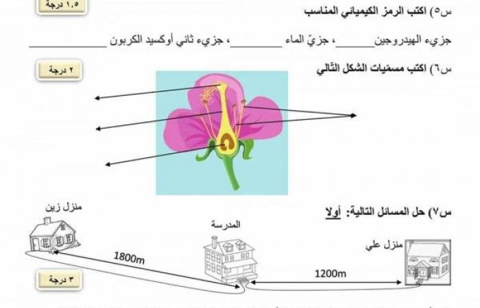 نموذج مذاكرة علوم للصف السادس الابتدائي الفصل الدراسي الثاني