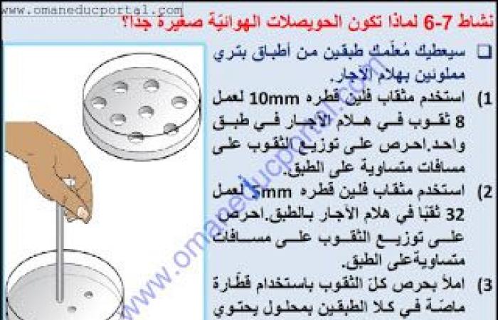 ملخص وحل انشطة درس تبادل الغازات في العلوم للصف الثامن الفصل الثاني