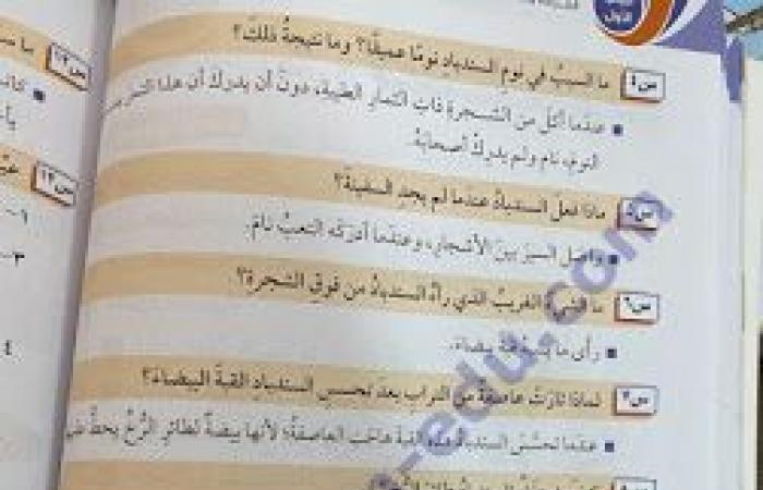 أفكار شرح وتحليل نص من مغامرات السندباد + للصف السابع ف 2