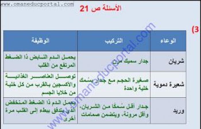 ملخص وحل انشطة درس الأوعية الدموية في العلوم للصف الثامن الفصل الثاني