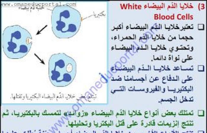 ملخص وحل انشطة درس الدم في العلوم للصف الثامن الفصل الثاني