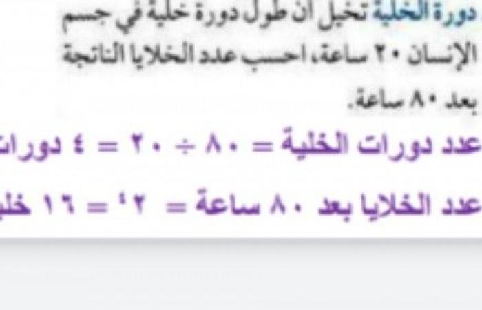 دورة الخلية تخيل أن طول دورة الخلية في جسم الانسان ٢٠ساعة احسب عدد الخلايا الناتجة بعد ٨٠ ساعة