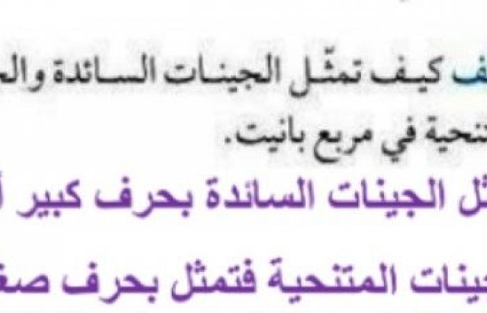 صف كيف تمثل الجينات السائدة والجينات المنتجة في مربع بانيت