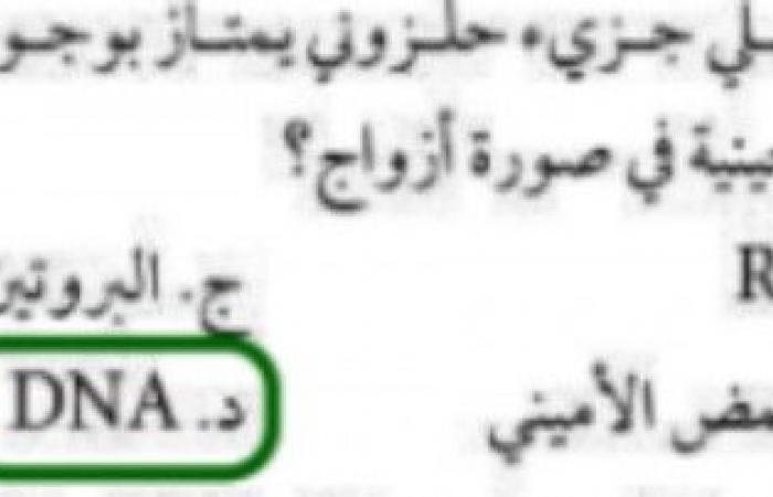 اي ممايلي جزيء حلزوني يمتاز بوجود القواعد النيتروجينية في صورة ازواج