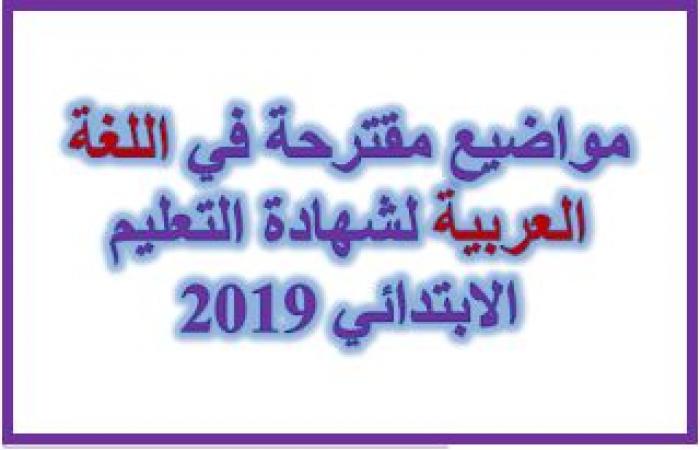 مواضيع مقترحة في اللغة العربية لشهادة التعليم الابتدائي 2019