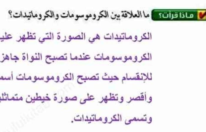 تم الإجابة عليه: ما العلاقة بين الكروموسومات والكروماتيدات