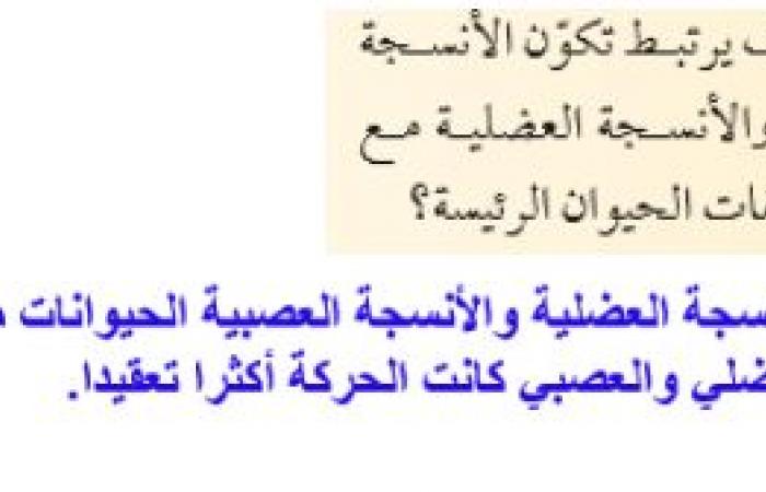 كيف يرتبط تكون الانسجة العصبية والانسجة العضلية مع إحدى صفات الحيوانات الرئيسة