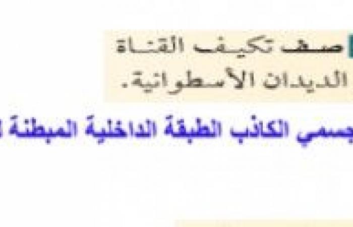 تم الإجابة عليه: صف تكيف القناة الهضمية لدى الديدان الاسطوانية