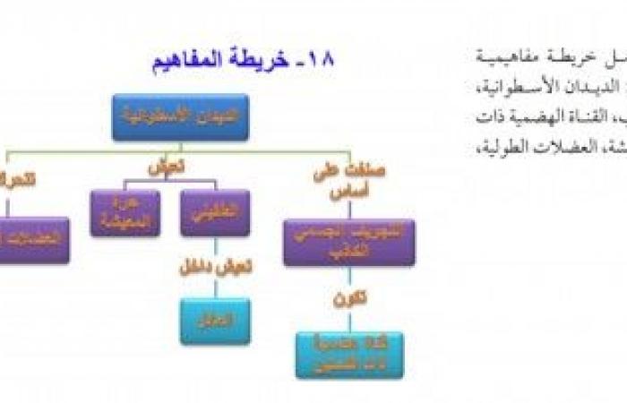 تم الإجابة عليه: الخريطة المفاهيمية