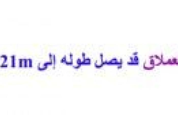 تم الإجابة عليه: قارن بين جسمي الحلزون والحبار