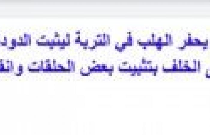 تم الإجابة عليه: قارن بين دودة الارض الى الامام والى الخلف على الارض وكيف يعد ذلك نوعا من التكيف لبقائها