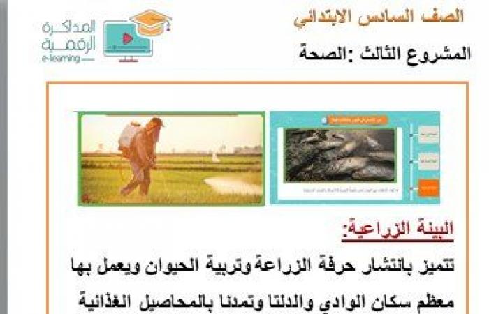 بحث عن الصحة للصف السادس الابتدائي علي نموذج الوزارة شامل لكل العناصر