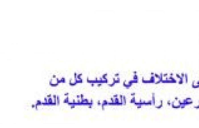 تم الإجابة عليه: اعمل مفتاحا ثنائيا يميز الاختلاف بين الطوائف الثلاث للرخويات