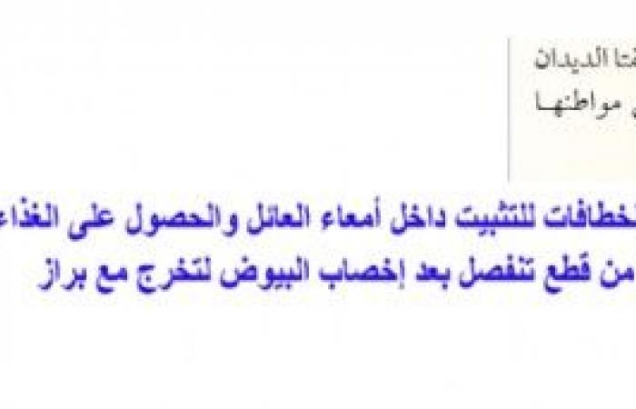 تم الإجابة عليه: كيف تكيفت طائفتا الديدان الطفيلية للعيش في مواطنها البيئية