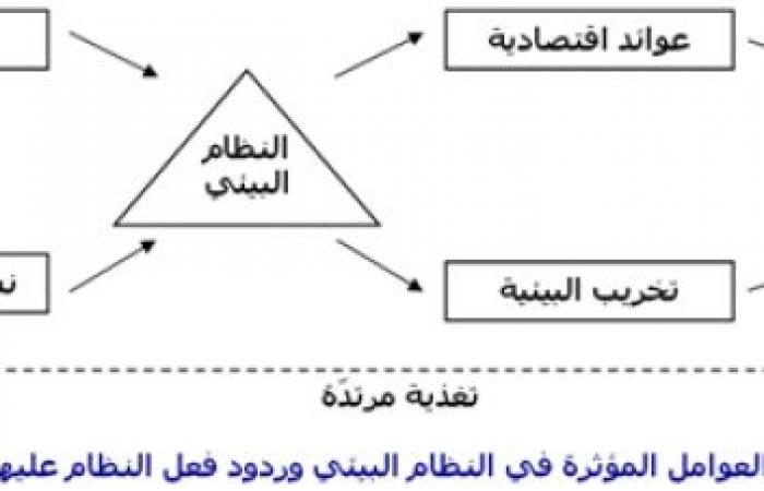 تصميم مخطط يبين العلاقه بين مكونات البيئه والعوامل التي تؤثر فيها