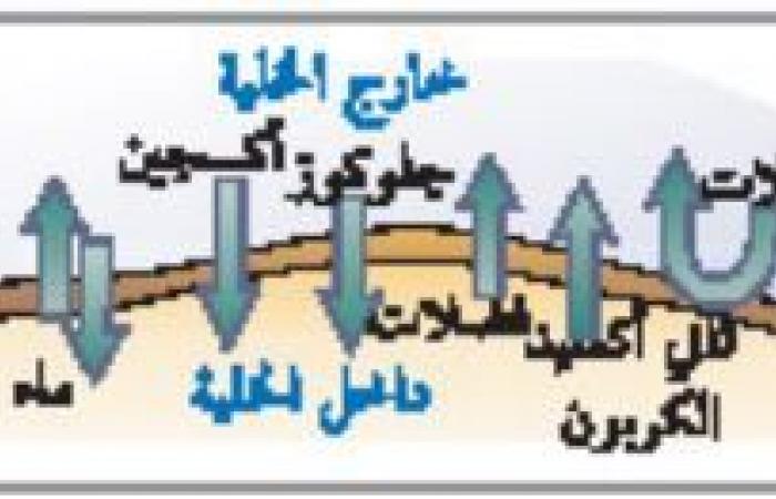 ملخص درس التراكيب الخلوية والعضيات - تركيب الخلية ووظائفها