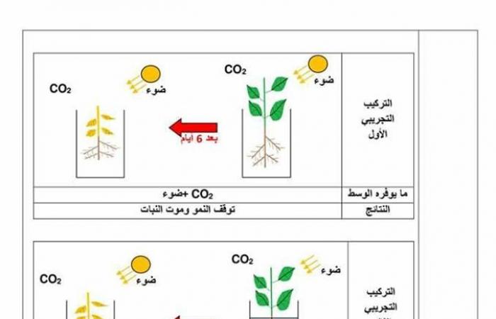 مذكرة الانسان و المحيط في مادة العلوم الطبيعية للسنة اولى متوسط