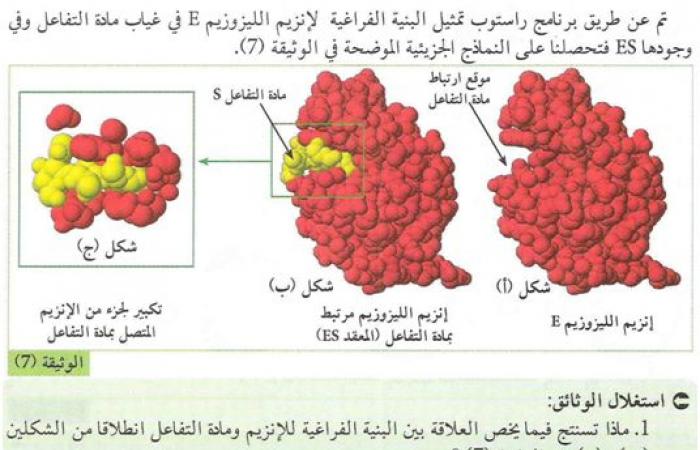 تحضير درس العلاقة بين بنية ووظيفة الإنزيم للسنة الثالثة ثانوي