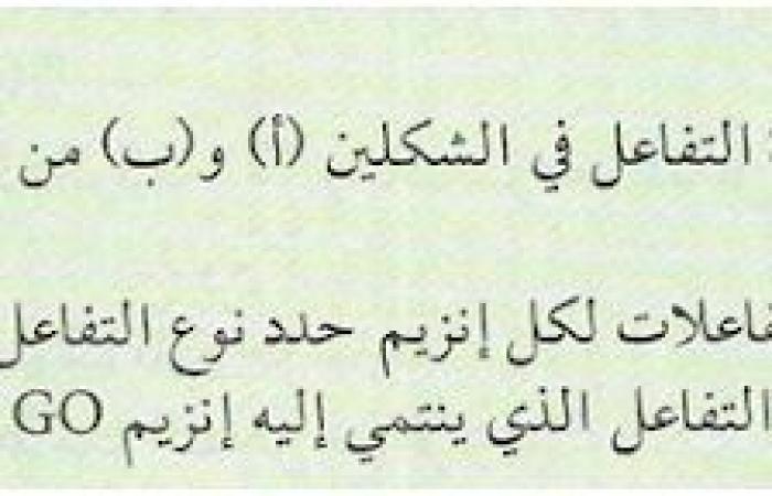 تحضير درس العلاقة بين بنية ووظيفة الإنزيم للسنة الثالثة ثانوي