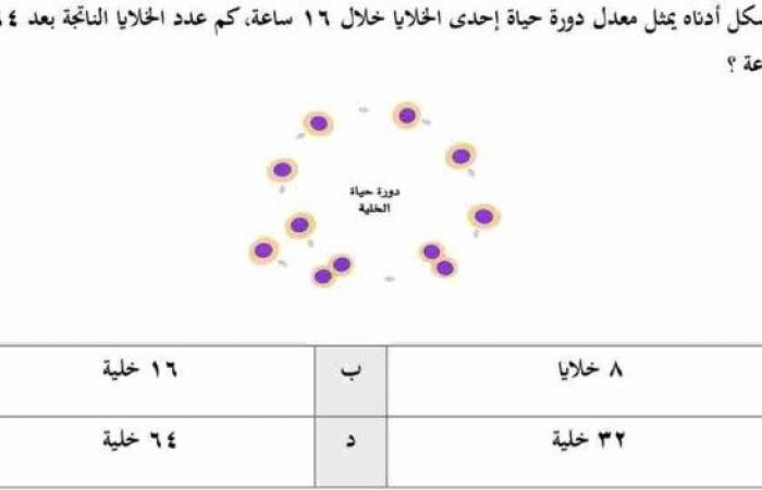 الشكل أدناه يمثل معدل دورة حياة إحدى الخلايا خلال ١٦ ساعة، كم عدد الخلايا الناتجة بعد ٦٤ ساعة ؟