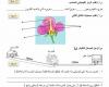 نموذج مذاكرة علوم للصف السادس الابتدائي الفصل الدراسي الثاني