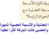 كيف يرتبط تكون الانسجة العصبية والانسجة العضلية مع إحدى صفات الحيوانات الرئيسة