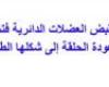 تم الإجابة عليه: صف ماذا يحدث لكل حلقة من حلقات جسم دودة الارض عندما تزحف على اليابسة