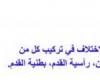 تم الإجابة عليه: اعمل مفتاحا ثنائيا يميز الاختلاف بين الطوائف الثلاث للرخويات