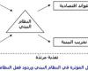 تصميم مخطط يبين العلاقه بين مكونات البيئه والعوامل التي تؤثر فيها