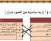 صل الجمل من العمود أ مع مايناسبه من المفردات في العمود ب