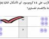 تحتوي الخلايا الجسدية في الأرنب على ٤٤ كروموسوم، أي الأشكال التالية يمثل النتيجة النهائية لانقسام خلية جسدية واحدة بالانقسام المتساوي؟